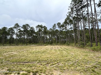 Close to hospital, shopping and restaurants. Approximately .31 - photo 1