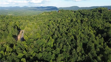 (private lake, pond, coastal) Lot For Sale in Boomer North Carolina