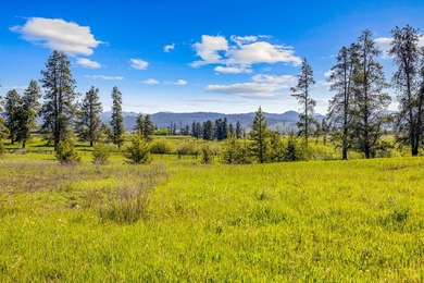 This Prime Development property in Donnelly ID offers a rare - photo 3