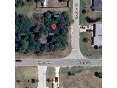 Corner lot in prime location, with 80 feet of frontage, this lot - photo 3