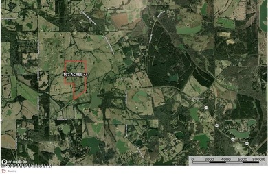 This exceptional 197+/- acre tract just outside Flora presents a - photo 11