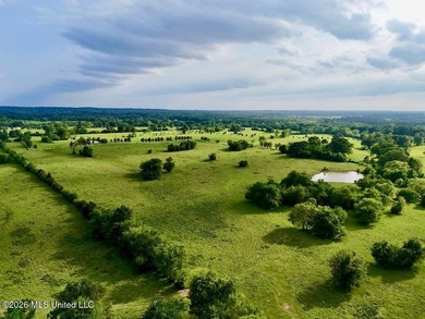 This exceptional 197+/- acre tract just outside Flora presents a - photo 12