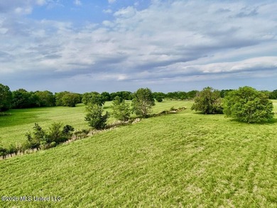 This exceptional 197+/- acre tract just outside Flora presents a - photo 13