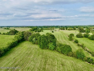 This exceptional 197+/- acre tract just outside Flora presents a - photo 14