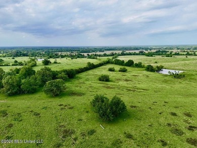 This exceptional 197+/- acre tract just outside Flora presents a - photo 15