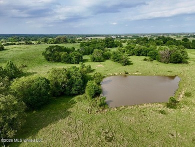 This exceptional 197+/- acre tract just outside Flora presents a - photo 16