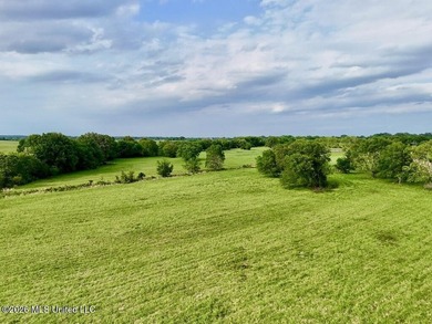 This exceptional 197+/- acre tract just outside Flora presents a - photo 17
