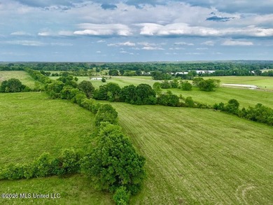 This exceptional 197+/- acre tract just outside Flora presents a - photo 18