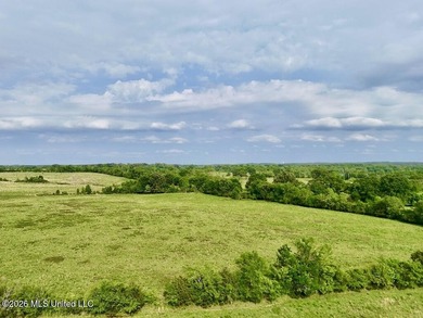 This exceptional 197+/- acre tract just outside Flora presents a - photo 19