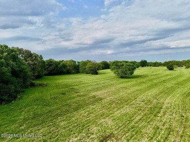 This exceptional 197+/- acre tract just outside Flora presents a - photo 20