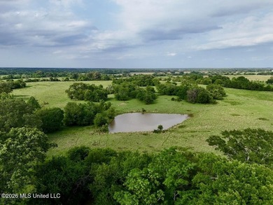This exceptional 197+/- acre tract just outside Flora presents a - photo 21