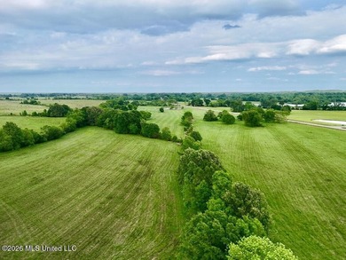 This exceptional 197+/- acre tract just outside Flora presents a - photo 22