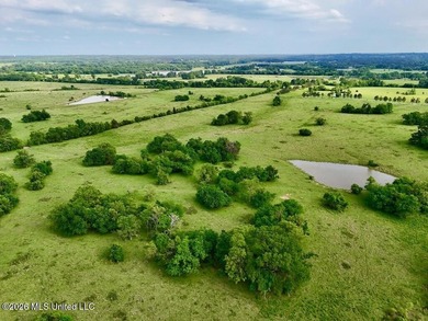 This exceptional 197+/- acre tract just outside Flora presents a - photo 23
