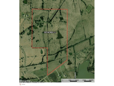 This exceptional 197+/- acre tract just outside Flora presents a - photo 24