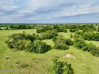 This exceptional 197+/- acre tract just outside Flora presents a - photo 25
