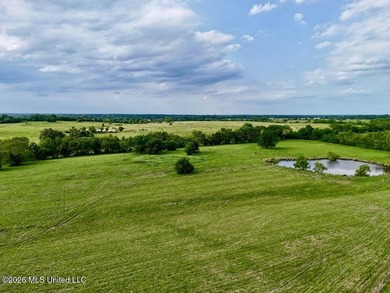 This exceptional 197+/- acre tract just outside Flora presents a - photo 26