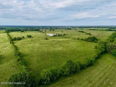 This exceptional 197+/- acre tract just outside Flora presents a - photo 27