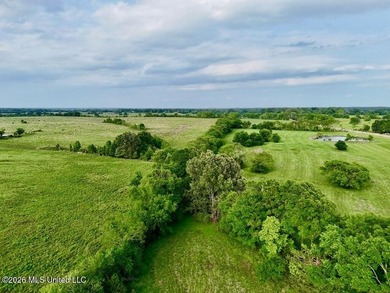 This exceptional 197+/- acre tract just outside Flora presents a - photo 28