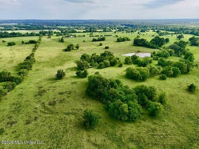 This exceptional 197+/- acre tract just outside Flora presents a - photo 29