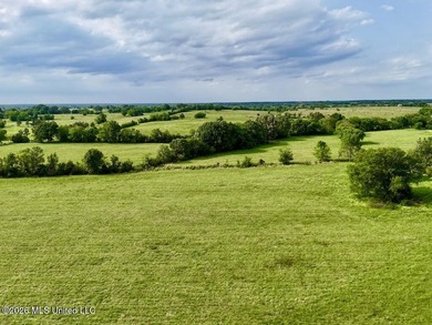 This exceptional 197+/- acre tract just outside Flora presents a - photo 30