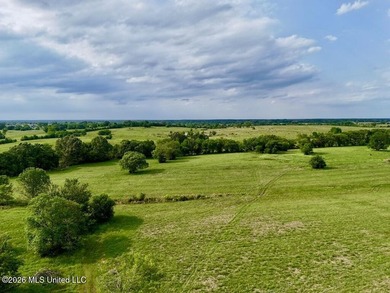 This exceptional 197+/- acre tract just outside Flora presents a - photo 33