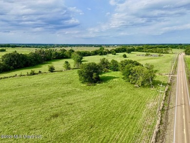 This exceptional 197+/- acre tract just outside Flora presents a - photo 34