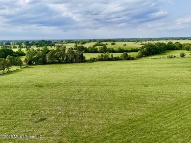 This exceptional 197+/- acre tract just outside Flora presents a - photo 35