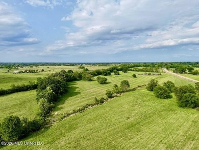 This exceptional 197+/- acre tract just outside Flora presents a - photo 36