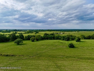 This exceptional 197+/- acre tract just outside Flora presents a - photo 39