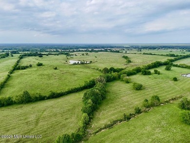 This exceptional 197+/- acre tract just outside Flora presents a - photo 40