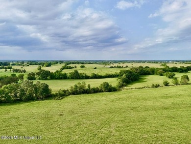 This exceptional 197+/- acre tract just outside Flora presents a - photo 41