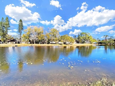 Welcome to The Gardens of Forest Lakes, one of Oldsmar's - photo 42