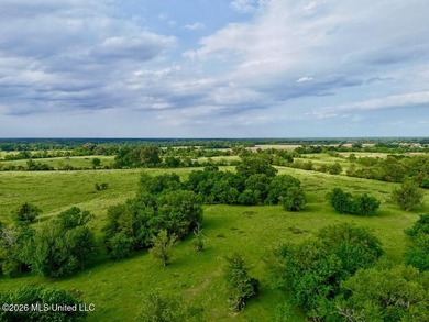 This exceptional 197+/- acre tract just outside Flora presents a - photo 42
