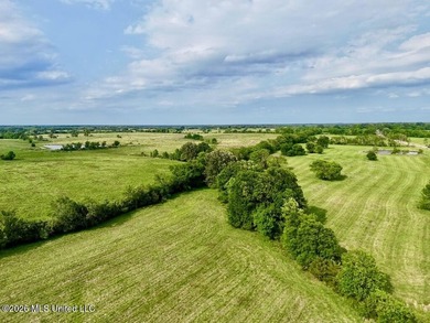 This exceptional 197+/- acre tract just outside Flora presents a - photo 43