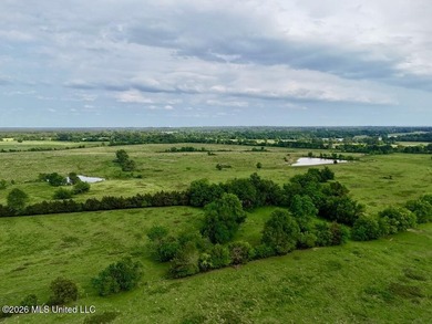 This exceptional 197+/- acre tract just outside Flora presents a - photo 44