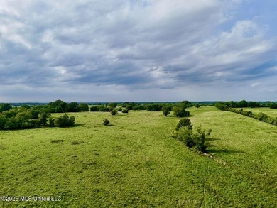 This exceptional 197+/- acre tract just outside Flora presents a - photo 45