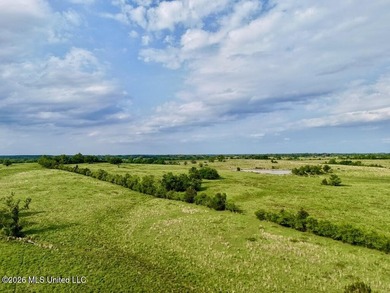 This exceptional 197+/- acre tract just outside Flora presents a - photo 46