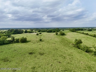 This exceptional 197+/- acre tract just outside Flora presents a - photo 47
