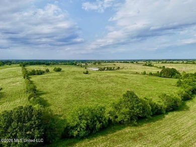 This exceptional 197+/- acre tract just outside Flora presents a - photo 48