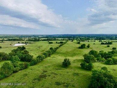 This exceptional 197+/- acre tract just outside Flora presents a - photo 49