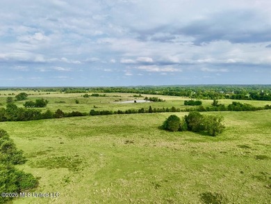 This exceptional 197+/- acre tract just outside Flora presents a - photo 50
