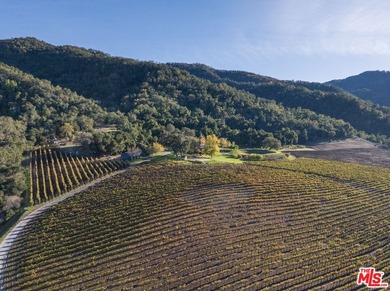 Set within the Monterey County American Viticultural Area, 20300 - photo 8