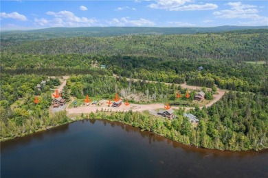 Lake Commercial For Sale in Finland, Minnesota