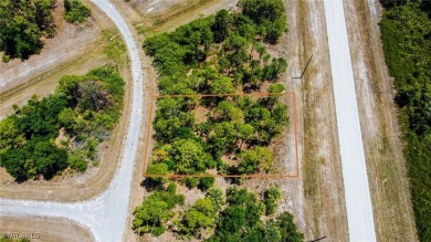 Build your Florida dream home in one of North Port's - photo 3