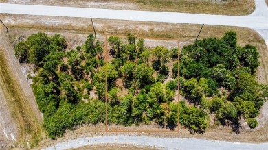 Build your Florida dream home in one of North Port's - photo 4