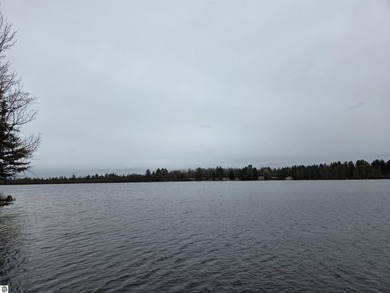 FIXER UPPER PROPERTY. Up north cottage for sale, in the heart of - photo 13