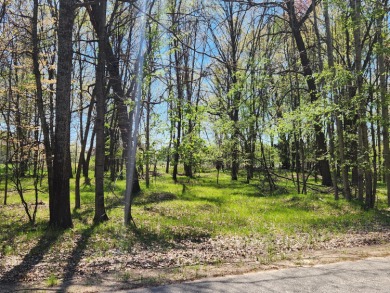 Lake Lot For Sale in Canadian Lakes, Michigan