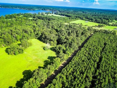 Lake Acreage For Sale in Jefferson, Texas