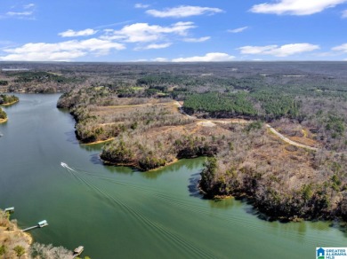 ATTENTION INVESTORS & DEVELOPERS! This rare 98-acre Smith Lake - photo 1