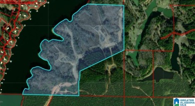 ATTENTION INVESTORS & DEVELOPERS! This rare 98-acre Smith Lake - photo 2